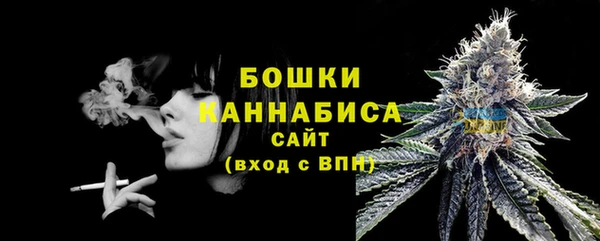 прущие крисы Верея