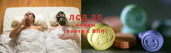 прущие крисы Верея