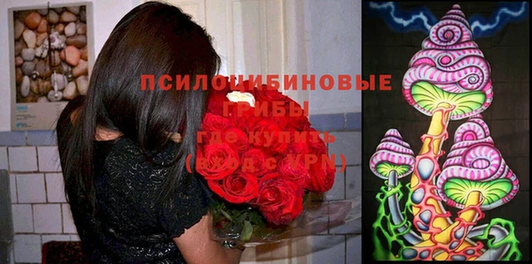 прущие крисы Верея