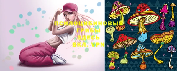 прущие крисы Верея