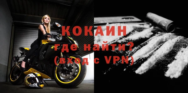 шишки Медвежьегорск