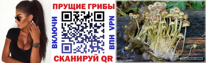 Галлюциногенные грибы мухоморы цена Красавино